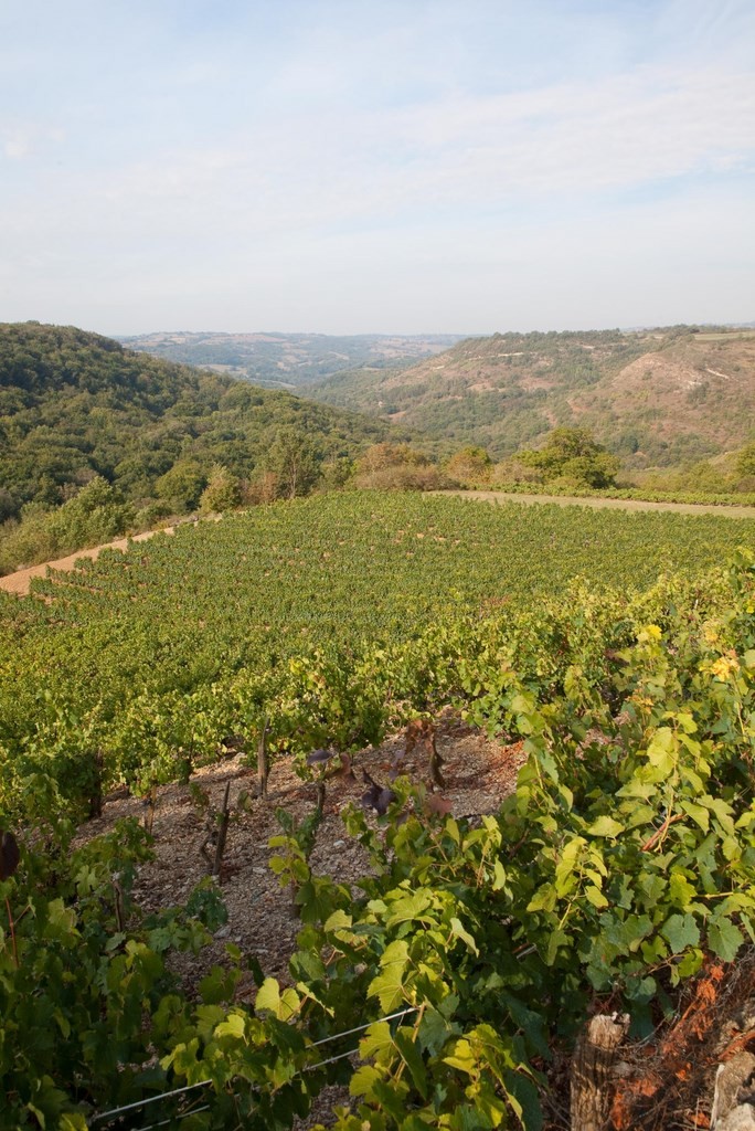 Marcillac-Vallon